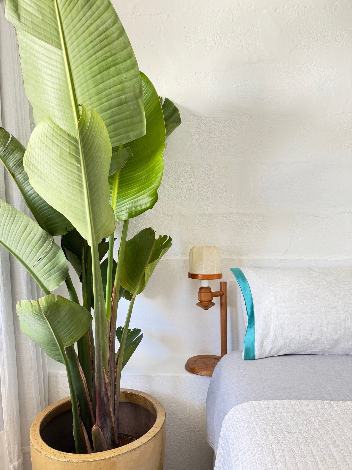 A corner of the bedroom — the strelitzia beside the bed